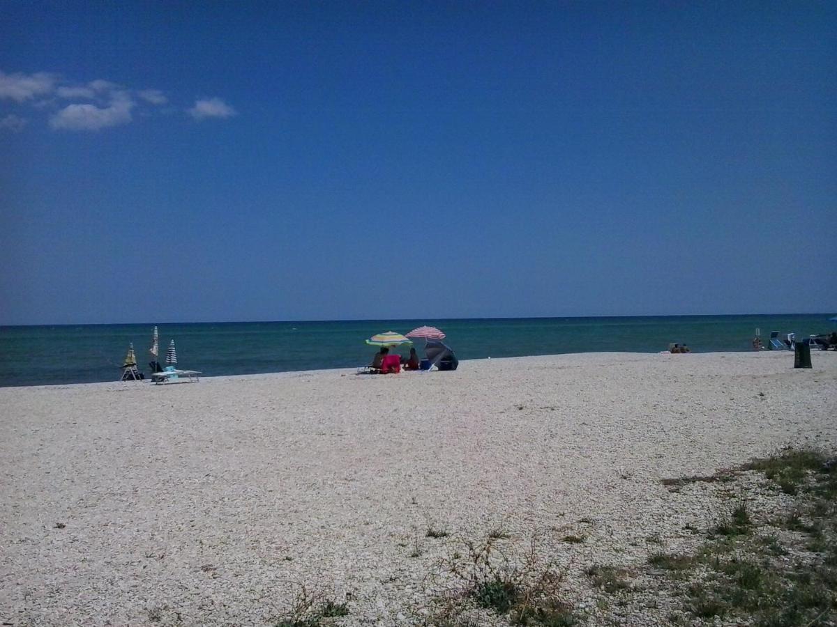 Blu Fantasy Senigallia